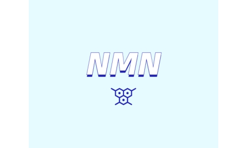 哪里可以買到 nmn？